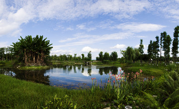 成都青龙湖湿地公园