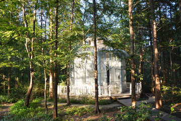 树林阳光小屋