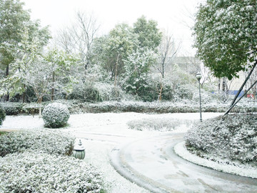 城市花园雪景