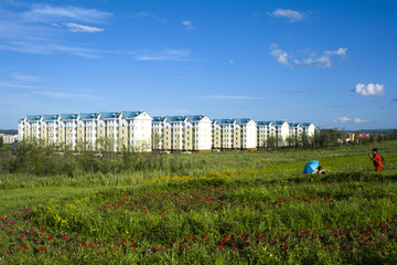 新城乡建设