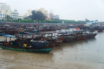 港湾渔船