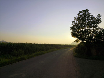 回家的路