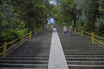 上山的路