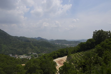 森林公园