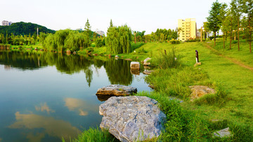 湖边一景