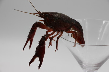 小龙虾