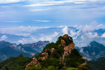 板山云雾（一）