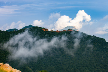 板山云雾（一）