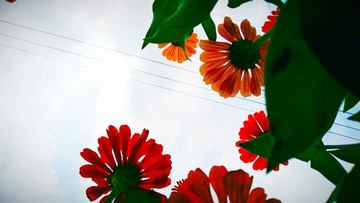 花