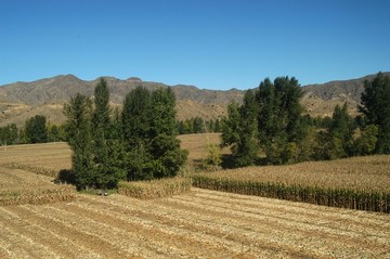 黄土高坡