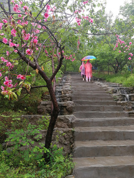 山间小路