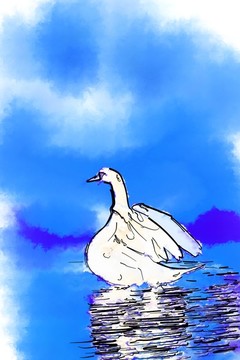 天鹅
