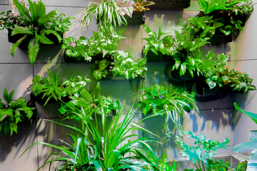 绿色植物墙素材
