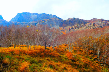 长白山