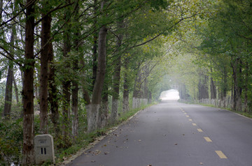 乡村公路