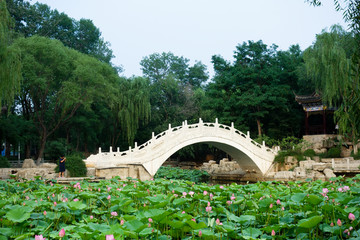 天津西沽公园