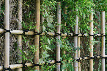 竹篱笆栅栏