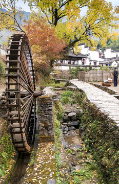 塔川秋色