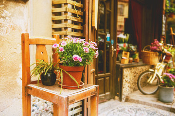 咖啡店前的盆花