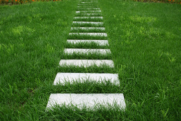 草坪石阶