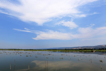 养殖水域