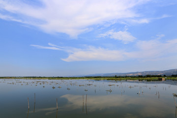 养殖水域