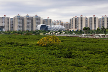 防城港海滨新区