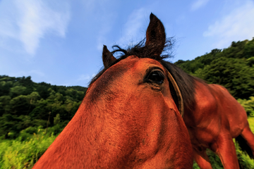 七里峪途拍