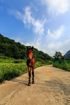 七里峪途拍