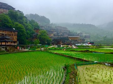 苗寨田园风光