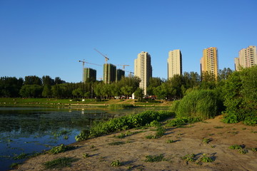 沈阳丁香湖边的建筑
