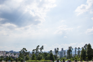 树林和天空