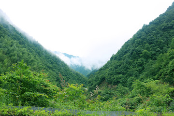 山谷