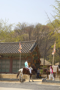 韩国传统骑术表演