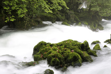 茂兰溪流河流