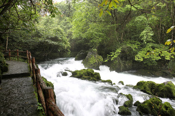 茂兰溪流河流