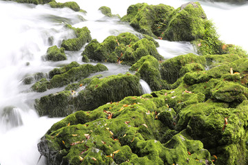 茂兰溪水河流