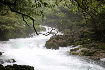 茂兰溪水河流