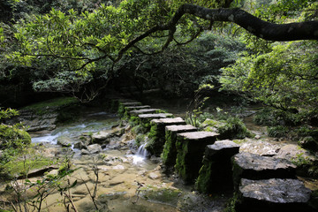 茂兰溪水河流