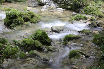 茂兰溪水河流