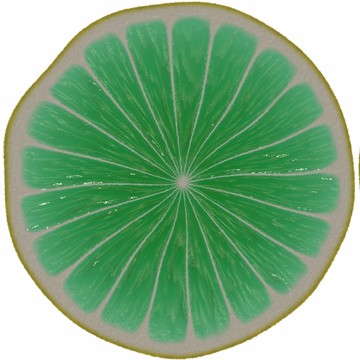 橙子切片素材