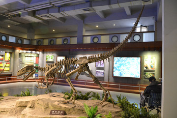 自贡恐龙博物馆完整恐龙化石