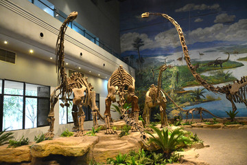 自贡恐龙化石