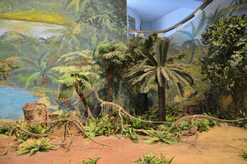 自贡博物馆恐龙化石