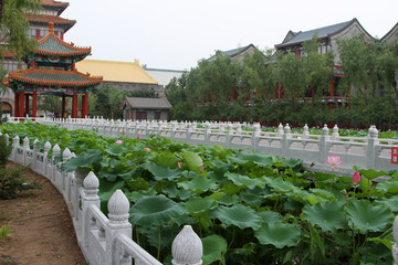 荷塘楼阁