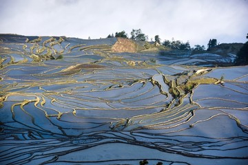 梯田