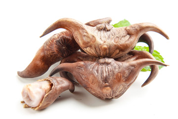 菱角