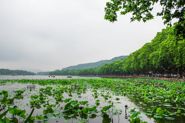 西湖北山路