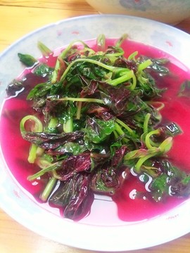 苋菜