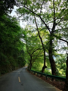 林荫公路